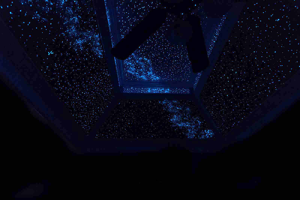 Bedroom with Night Sky Murals star ceiling