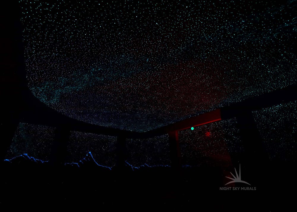 Theater ceiling & walls with Night Sky Mural