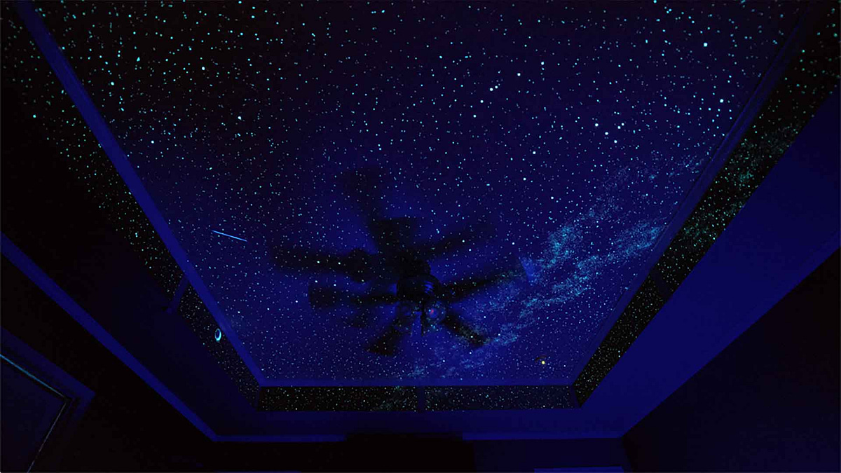 NC-Star Ceiling in Master bedroom by Night Sky Murals