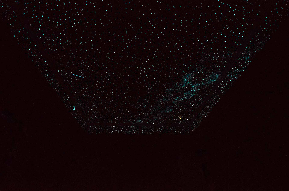 Night Sky Murals star ceiling