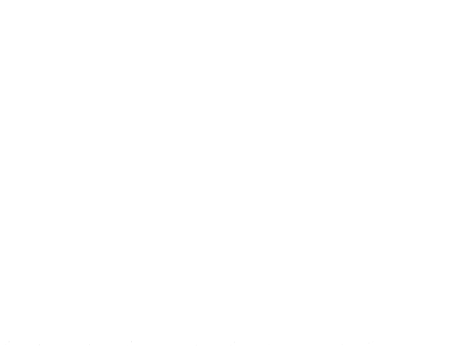 Night Sky Murals logo- white